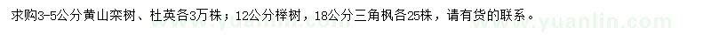 求购黄山栾树、杜英、榉树等