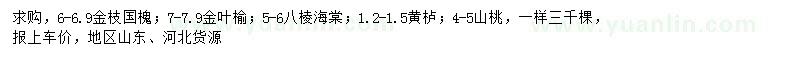 求购金枝国槐、金叶榆、八棱海棠等