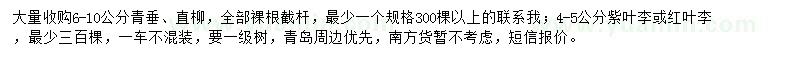 求购青垂、直柳、紫叶李或红叶李