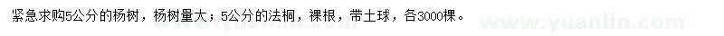 求购5公分杨树、法桐