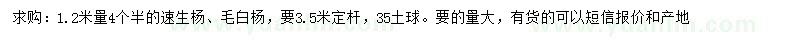 求购3.5米定杆速生杨、毛白杨