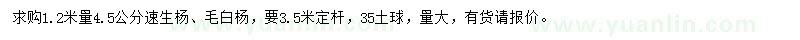 求购1.2米量4.5公分速生杨、毛白杨