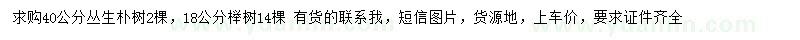 求购40公分朴树、18公分榉树