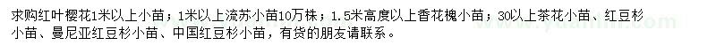 求购红叶樱花、流苏、香花槐等