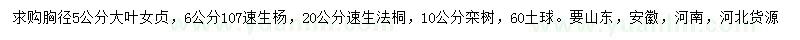 求购大叶女贞、107速生杨、速生法桐等