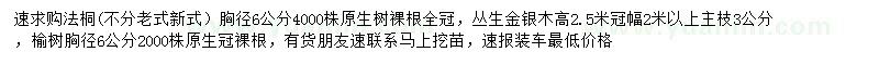 求购法桐、丛生金银木、榆树