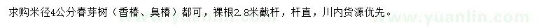 求购米径4公分春芽树