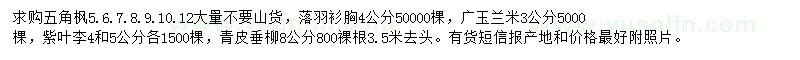 求购五角枫、落羽衫、广玉兰等