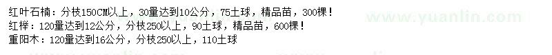 求购高杆红叶石楠树、无患子、重阳木等