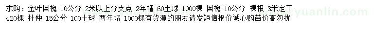 求购金叶国槐、国槐、杜仲