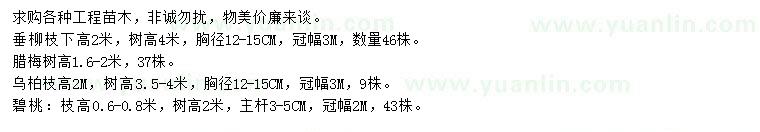 求购垂柳、腊梅、乌柏等
