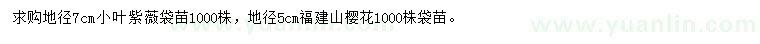 求购小叶紫薇袋苗、福建山樱花袋苗