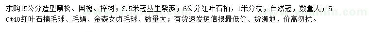 求购造型黑松、国槐、榉树等