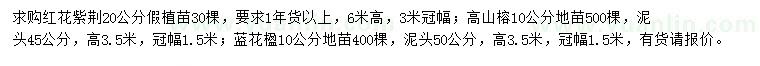 求购红花紫荆、高山榕、蓝花楹