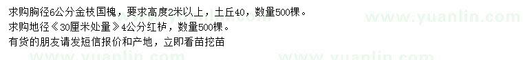 求购胸径6公分金枝国槐、地径4公分红栌