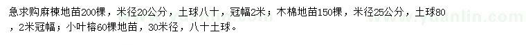 求购麻楝地苗、木棉地苗、小叶榕