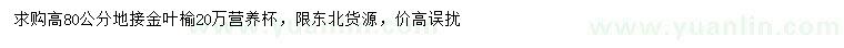 求购高80公分地接金叶榆