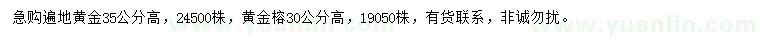 求购遍地黄金、黄金榕