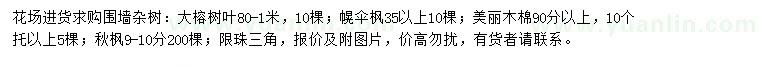 求购大榕树、幌伞枫、美丽木棉等