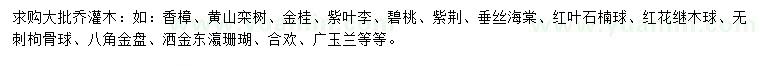 求购香樟、黄山栾树、金桂等