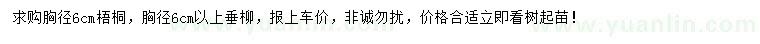 求购胸径6公分梧桐、胸径6公分以上垂柳