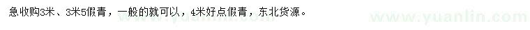 求购3米、3.5米、4米假青云杉