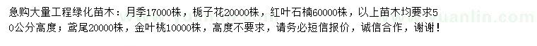 求购月季、栀子花、红叶石楠等