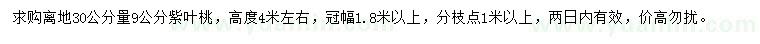 求购离地30公分量9公分紫叶桃