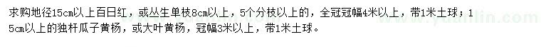 求购百日红、瓜子黄杨