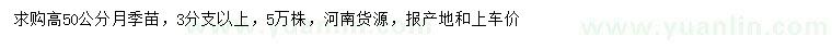 求购高50公分月季苗