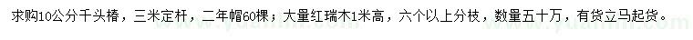 求购10公分千头椿、高1米红瑞木