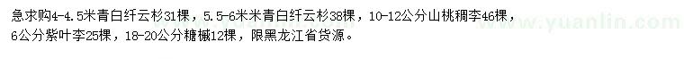 求购青白纤云杉、山桃稠李、紫叶李等