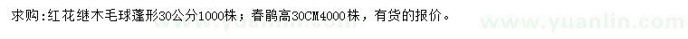 求购红花继木毛球、春鹃