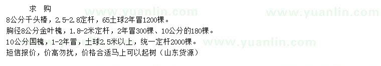 求购千头椿、金叶槐、国槐