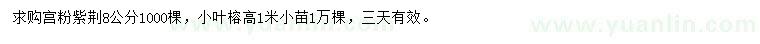 求购8公分宫粉紫荆、高1米小叶榕