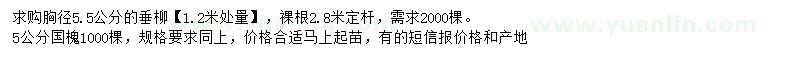 求购胸径5.5公分垂柳、5公分国槐