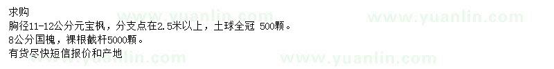 求购胸径11-12公分元宝枫、8公分国槐