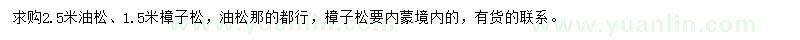求购2.5米油松、1.5米樟子松
