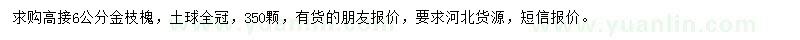 求购6公分高接金枝槐