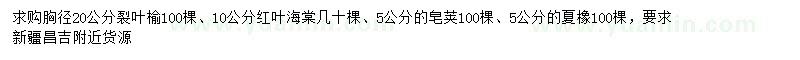 求购裂叶榆、红叶海棠、皂荚等