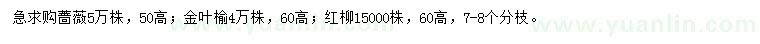 求购蔷薇、金叶榆、红柳