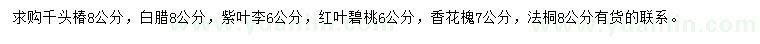 求购千头椿、白腊、紫叶李等