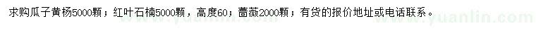 求购瓜子黄杨、红叶石楠、蔷薇