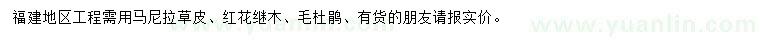 求购马尼拉草皮、红花继木、毛杜鹃