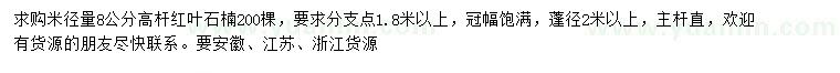 求购米径8公分分高杆红叶石楠