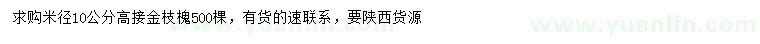 求购米径10公分高接金枝槐