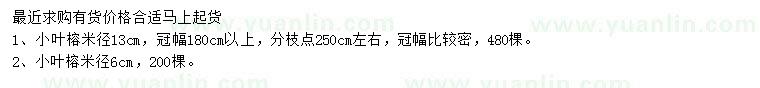 求购米径6、13公分小叶榕