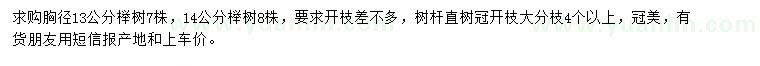 求购胸径13、14公分榉树