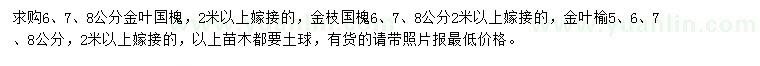 求购金叶国槐、金枝国槐、金叶榆