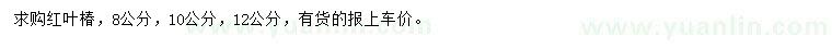 求购8、10、12公分红叶椿